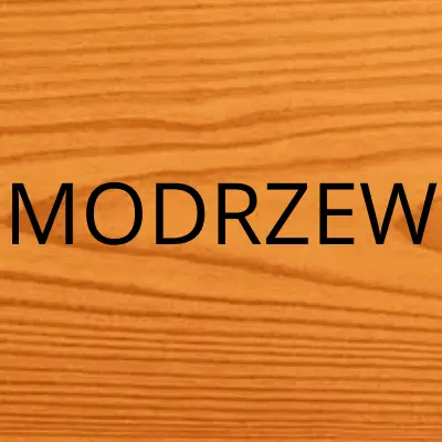 Modrzew